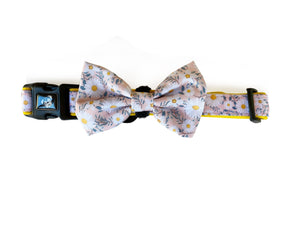 Collar & Bow Tie - Floral