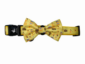 Collar & Bow Tie - Bees