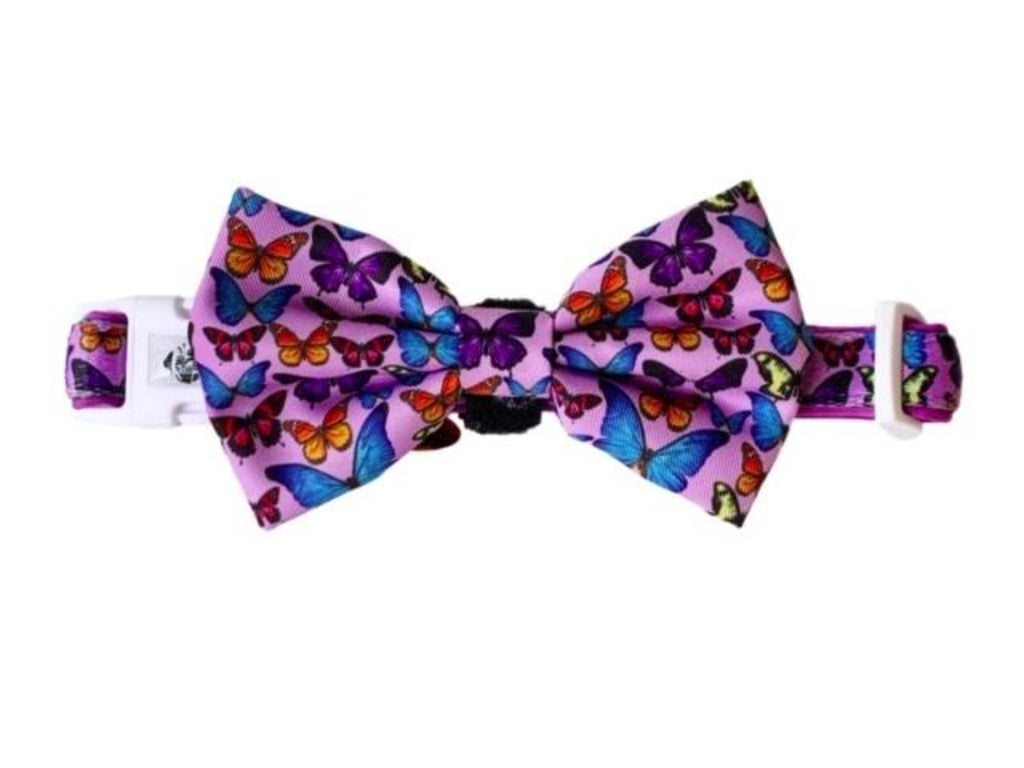 Collar & Bow Tie- Butterfly